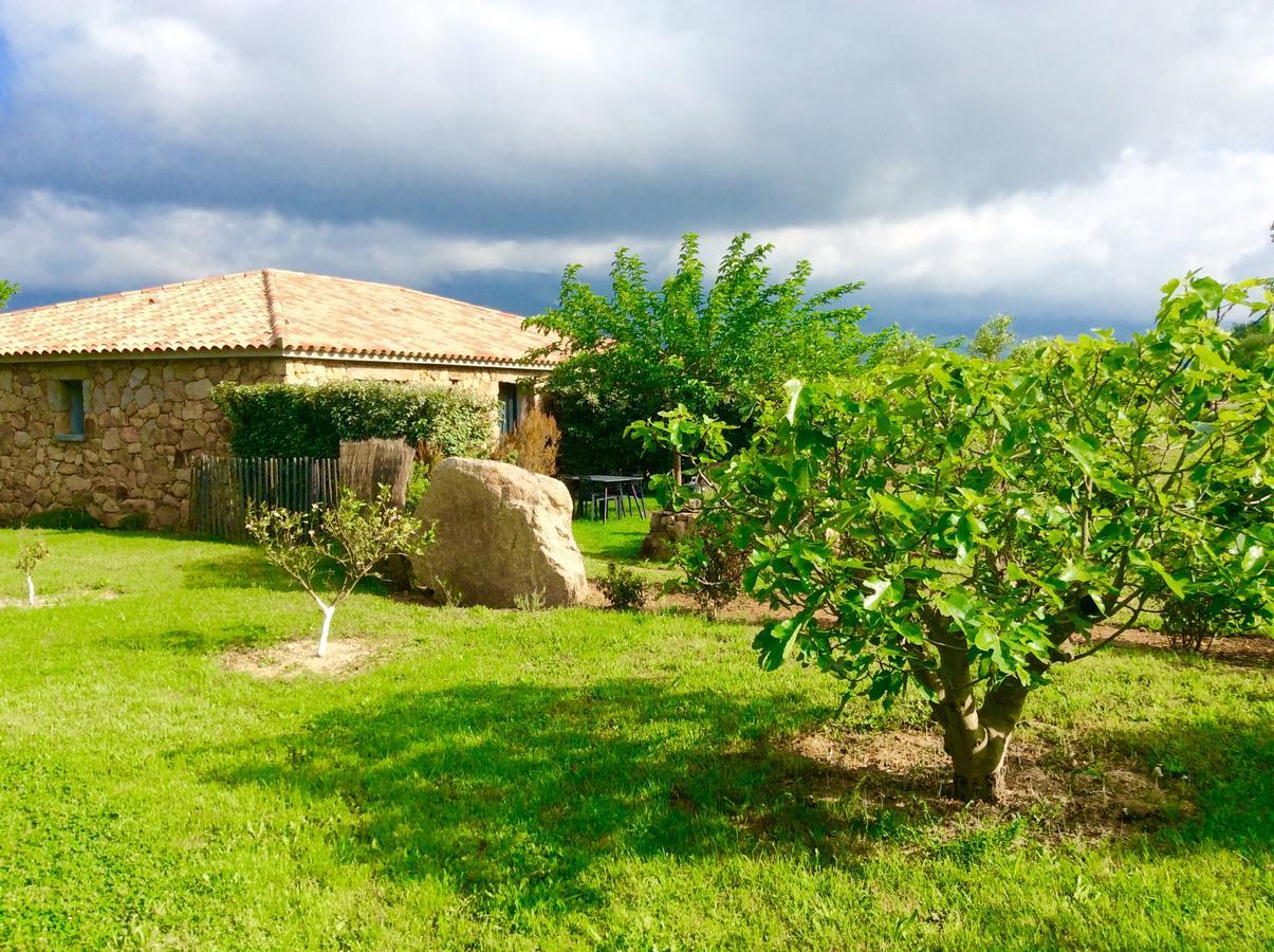 Clos Simoni Figari  Exterior photo